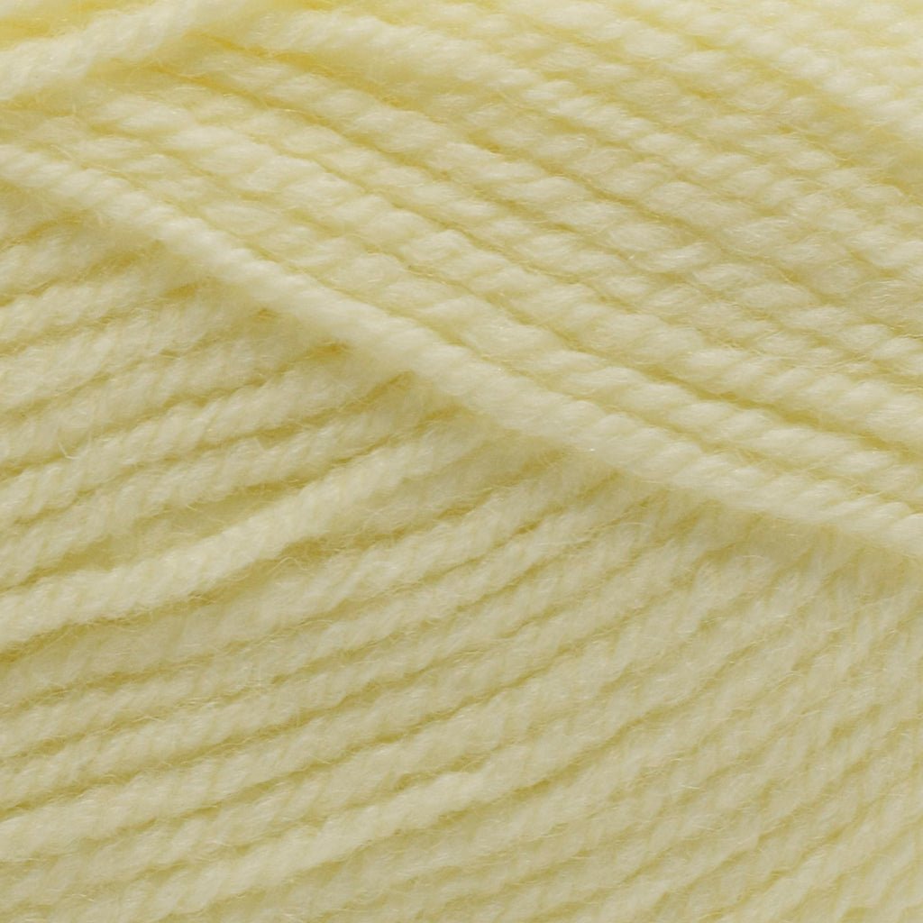 Plymouth Yarns Encore -843273001837 | Yarn at Michigan Fine Yarns