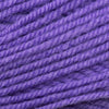 Plymouth Yarns Encore -843273001868 | Yarn at Michigan Fine Yarns