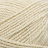 Plymouth Yarns Encore -843273001899 | Yarn at Michigan Fine Yarns