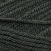 Plymouth Yarns Encore -843273001943 | Yarn at Michigan Fine Yarns