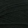 Plymouth Yarns Encore -843273001950 | Yarn at Michigan Fine Yarns