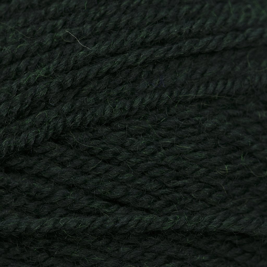 Plymouth Yarns Encore -843273001950 | Yarn at Michigan Fine Yarns