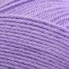 Plymouth Yarns Encore -843273001974 | Yarn at Michigan Fine Yarns