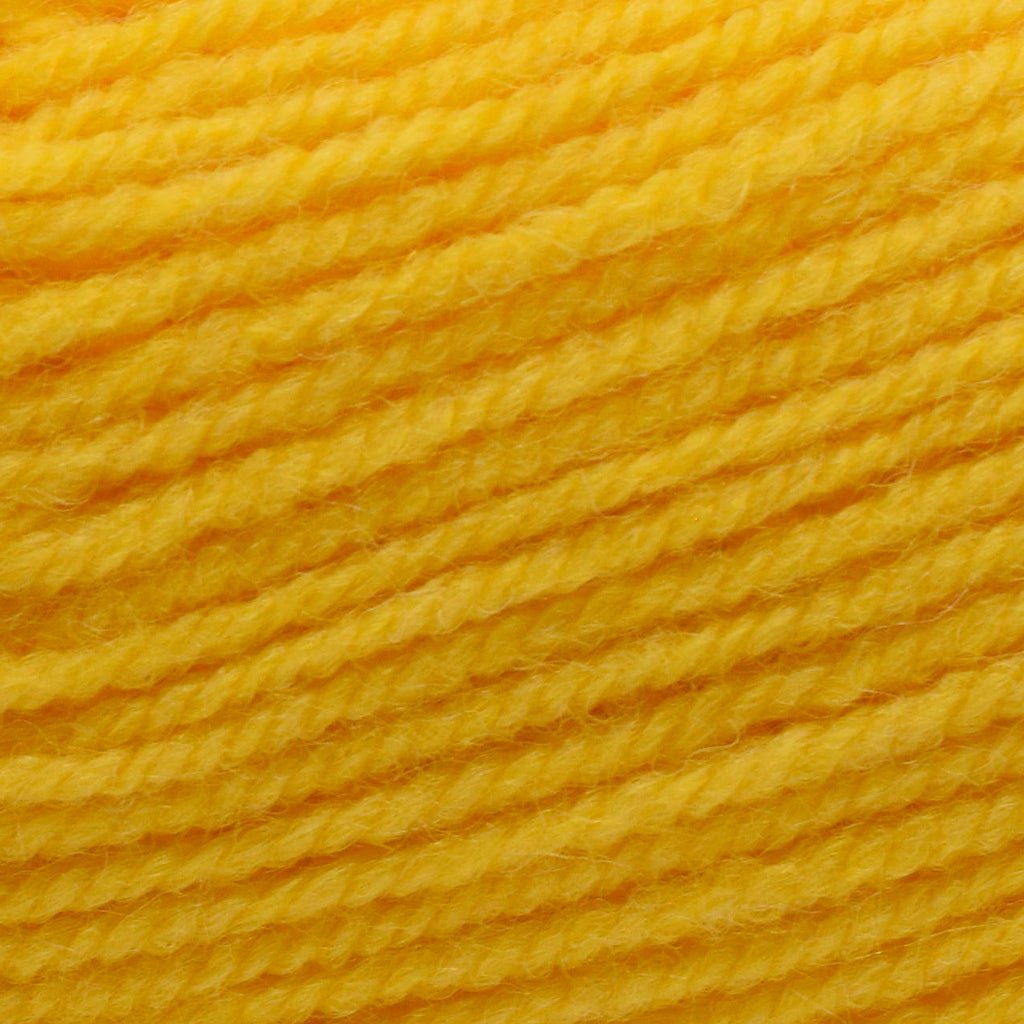 Plymouth Yarns Encore -843273002018 | Yarn at Michigan Fine Yarns