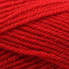 Plymouth Yarns Encore -843273002025 | Yarn at Michigan Fine Yarns