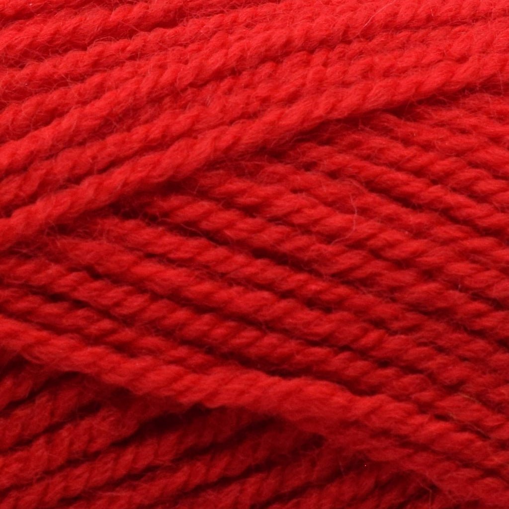 Plymouth Yarns Encore -843273002025 | Yarn at Michigan Fine Yarns