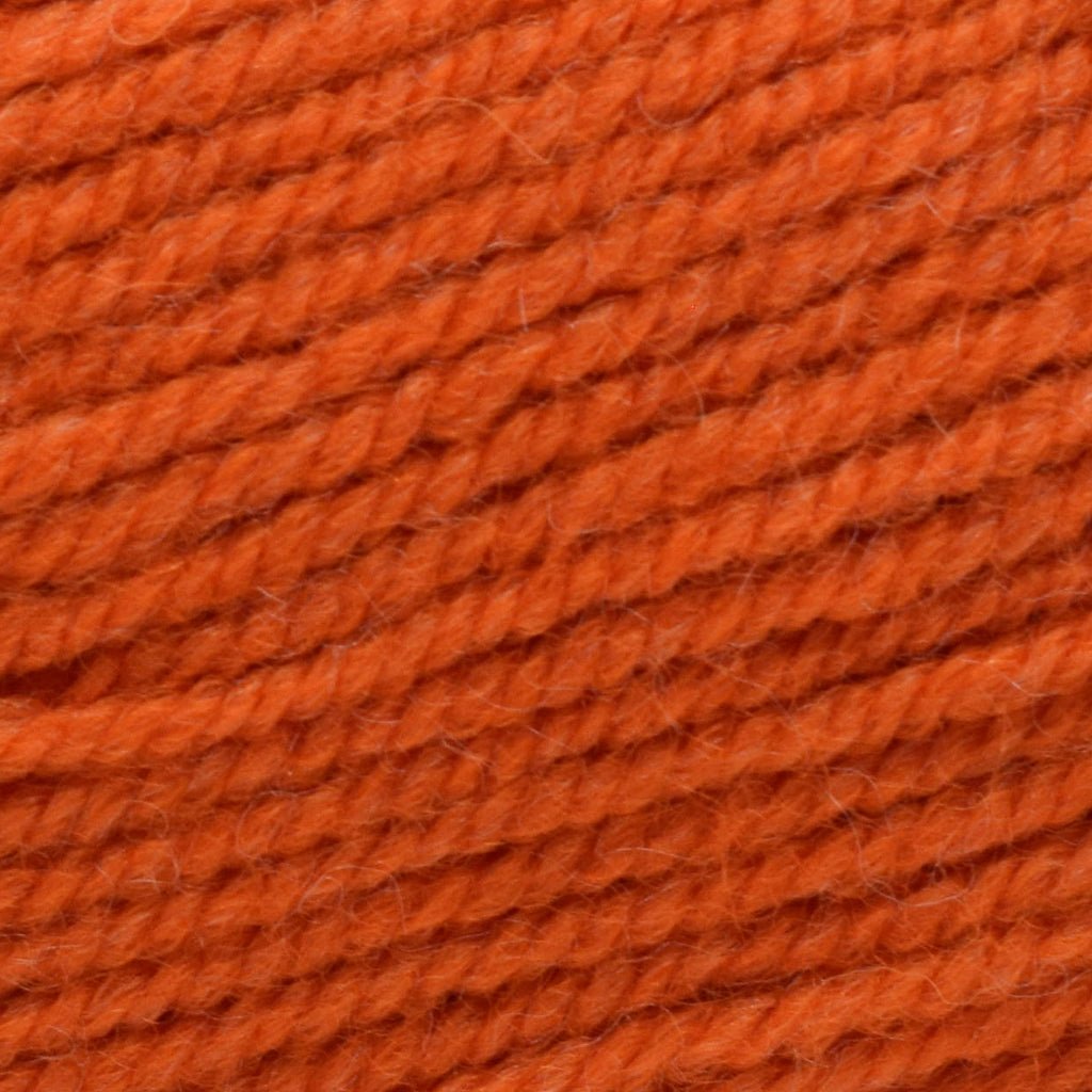 Plymouth Yarns Encore -843273002025 | Yarn at Michigan Fine Yarns