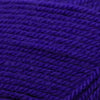 Plymouth Yarns Encore -843273002032 | Yarn at Michigan Fine Yarns