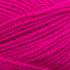 Plymouth Yarns Encore -843273002049 | Yarn at Michigan Fine Yarns