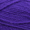 Plymouth Yarns Encore -843273002100 | Yarn at Michigan Fine Yarns