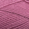 Plymouth Yarns Encore -843273002230 | Yarn at Michigan Fine Yarns