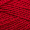 Plymouth Yarns Encore -843273002247 | Yarn at Michigan Fine Yarns