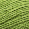 Plymouth Yarns Encore -843273002322 | Yarn at Michigan Fine Yarns