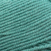 Plymouth Yarns Encore -843273025413 | Yarn at Michigan Fine Yarns