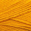 Plymouth Yarns Encore -843273025420 | Yarn at Michigan Fine Yarns