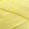 Plymouth Yarns Encore -843273032688 | Yarn at Michigan Fine Yarns