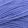 Plymouth Yarns Encore -843273032695 | Yarn at Michigan Fine Yarns
