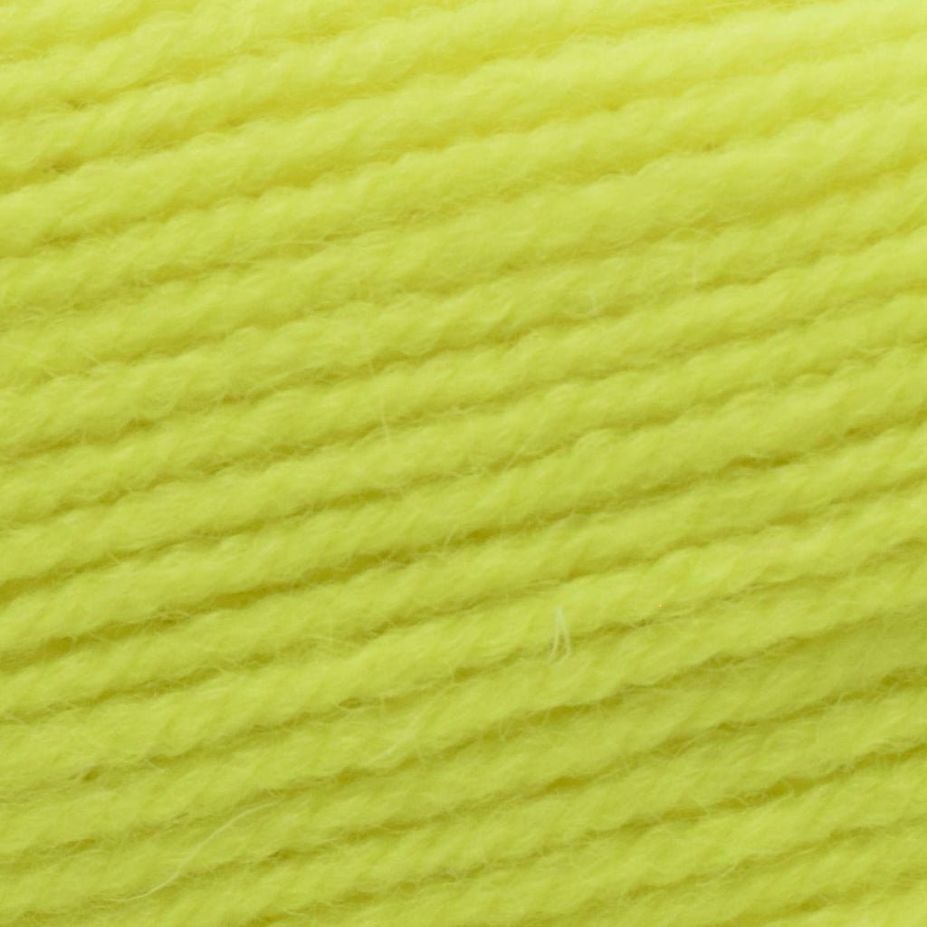 Plymouth Yarns Encore -843273035832 | Yarn at Michigan Fine Yarns