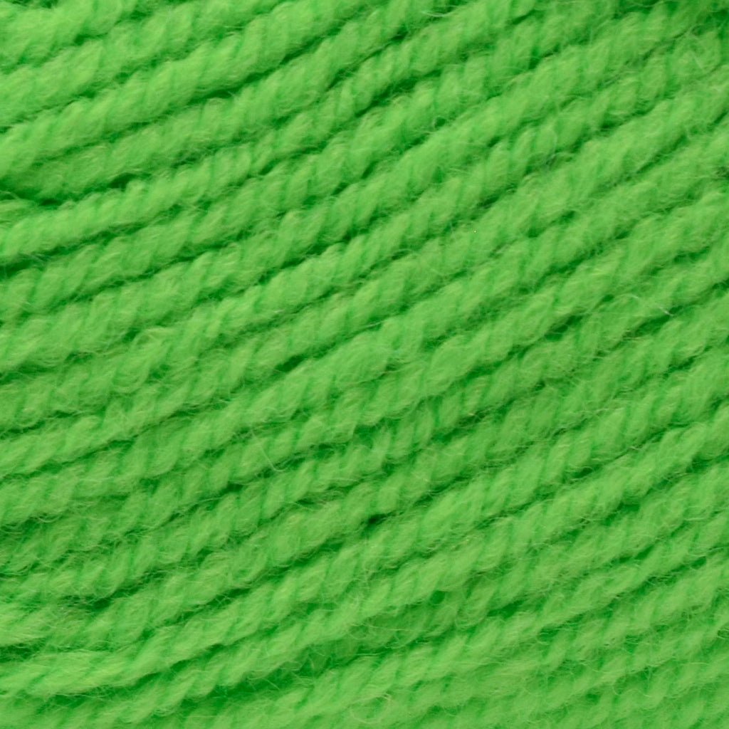 Plymouth Yarns Encore -843273035849 | Yarn at Michigan Fine Yarns