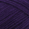 Plymouth Yarns Encore -843273043738 | Yarn at Michigan Fine Yarns