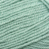 Plymouth Yarns Encore -843273044704 | Yarn at Michigan Fine Yarns