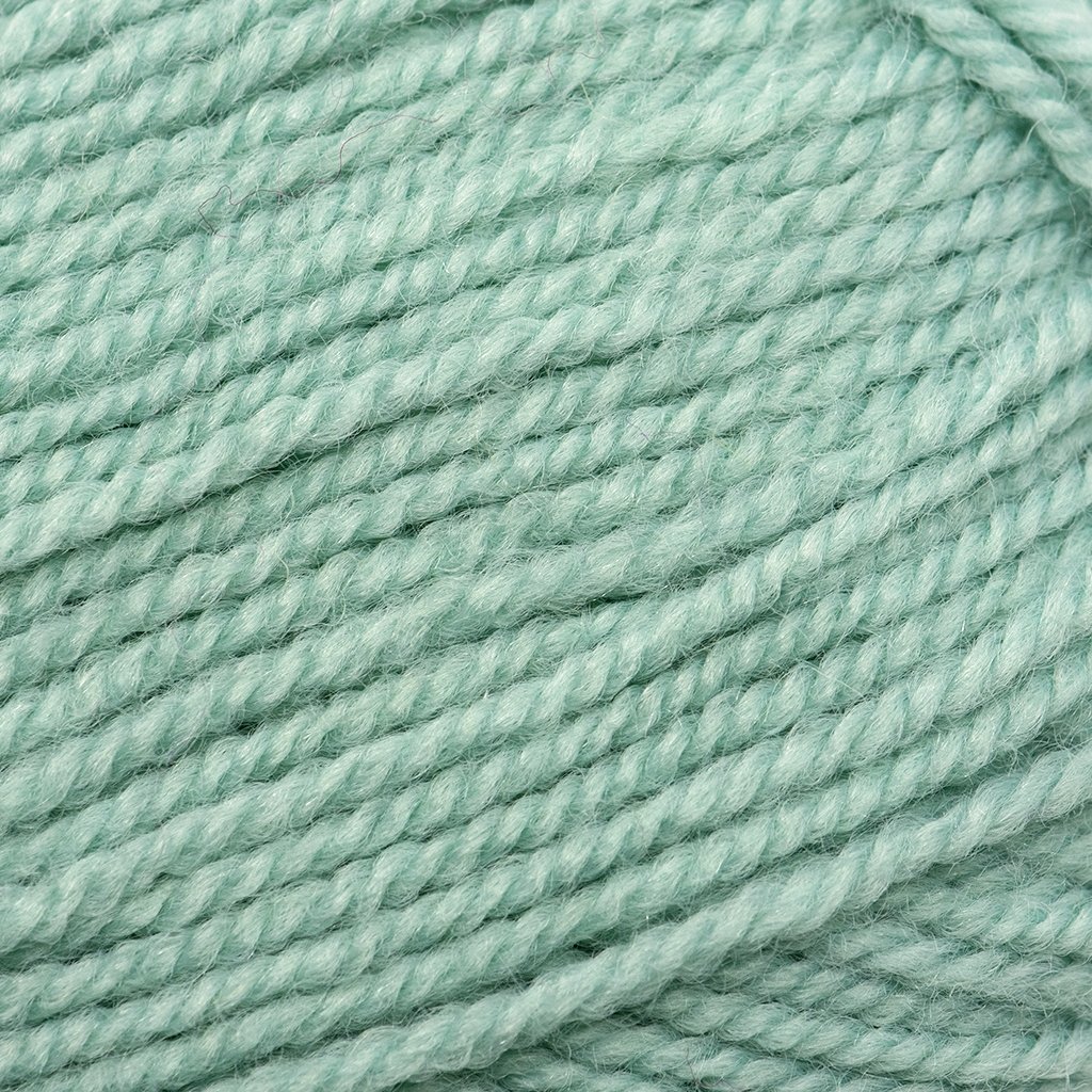 Plymouth Yarns Encore -843273044704 | Yarn at Michigan Fine Yarns