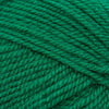 Plymouth Yarns Encore -843273051290 | Yarn at Michigan Fine Yarns