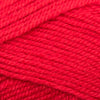 Plymouth Yarns Encore -843273051306 | Yarn at Michigan Fine Yarns