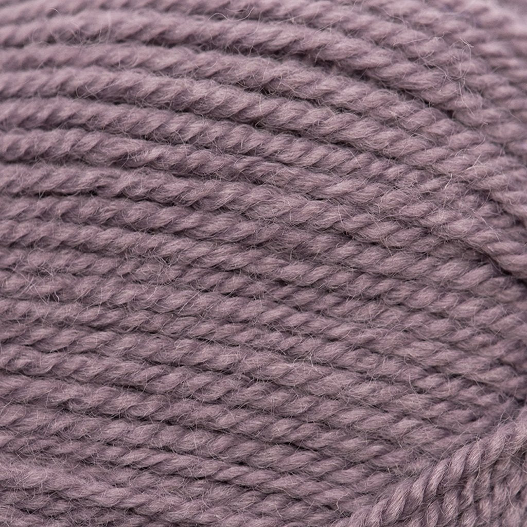 Plymouth Yarns Encore -843273053522 | Yarn at Michigan Fine Yarns