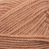 Plymouth Yarns Encore -843273053539 | Yarn at Michigan Fine Yarns