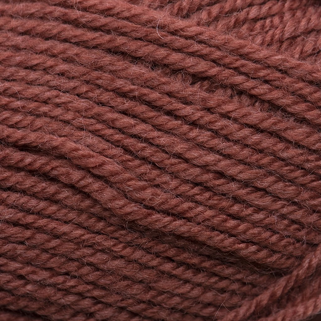 Plymouth Yarns Encore -843273053546 | Yarn at Michigan Fine Yarns