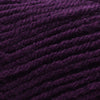 Plymouth Yarns Encore -843273054420 | Yarn at Michigan Fine Yarns