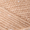 Plymouth Yarns Encore Tweed -843273031674 | Yarn at Michigan Fine Yarns