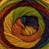Plymouth Yarns Hot Cakes -1 - Autumn Mix 03548970 | Yarn at Michigan Fine Yarns