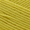 Sirdar Hayfield Bonus DK -569 - Gilt | Yarn at Michigan Fine Yarns