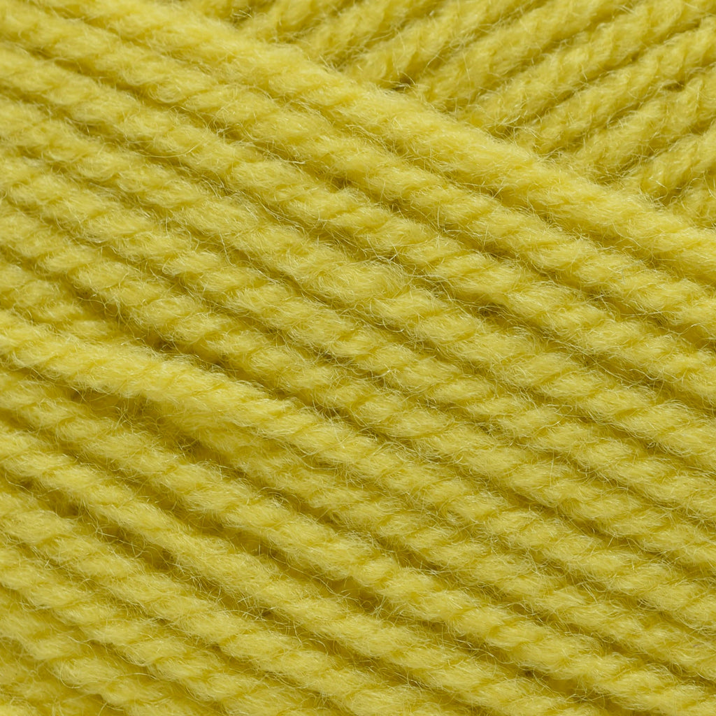 Sirdar Hayfield Bonus DK -569 - Gilt | Yarn at Michigan Fine Yarns