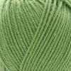 Sirdar Hayfield Bonus DK -825 - Grass 5024723138258 | Yarn at Michigan Fine Yarns