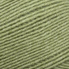 Sirdar Hayfield Soft Twist -256 - Fern 5024723212569 | Yarn at Michigan Fine Yarns