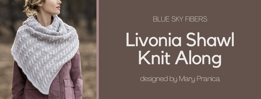 Livonia Shawl KAL: Winter 2022