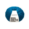 Crazy Sexy Wool