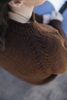 Laine Shorelines: Knits from Scottish Coasts | Knitting Book at Michigan Fine Yarns