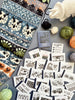 Pacific Knit Co. Dino Doodle Card Expansion Deck -  | Accessories at Michigan Fine Yarns