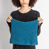 Blue Sky Fibers Carina Cowl Kit - Kit 1 (Original) 24074794 | Kits at Michigan Fine Yarns