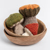 Blue Sky Fibers Fall Fungi Kit - | Kits at Michigan Fine Yarns