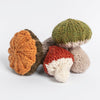 Blue Sky Fibers Fall Fungi Kit - | Kits at Michigan Fine Yarns