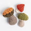 Blue Sky Fibers Fall Fungi Kit - | Kits at Michigan Fine Yarns