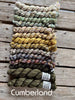 Koigu Astria Shawl Pack -Cumberland 90293546 | Kits at Michigan Fine Yarns