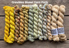 Koigu Grevillea Shawl Pack -Bumblebee 11594282 | Kits at Michigan Fine Yarns