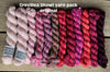Koigu Grevillea Shawl Pack -Original 09759274 | Kits at Michigan Fine Yarns