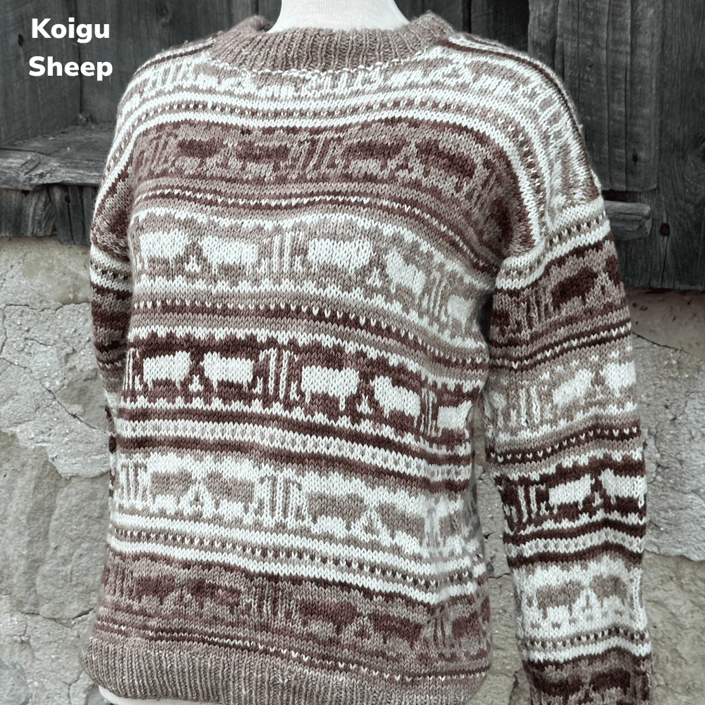 Koigu Heritage Sweater Kits - Koigu Sheep - Color A (Heli) XS - XL | Kits at Michigan Fine Yarns